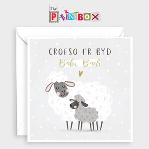 Croeso i'r Byd Babi Bach (Welcome to the World Little One)