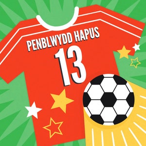 Penblwydd Hapus 13