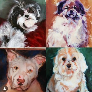 Pet Portraits