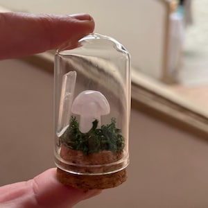 Miniature Rose Quartz Mushroom Terrarium with Moss and Quartz Crystal – Whimsical Nature-Inspired Decor