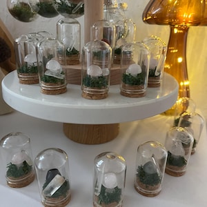 Bundle of 4 Miniature Rose Quartz Mushroom Terrarium with Moss and Quartz Crystal – Whimsical Nature-Inspired Decor