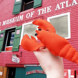 Red Lobster Finger Puppet Felt Hand Sewing Kit image 4