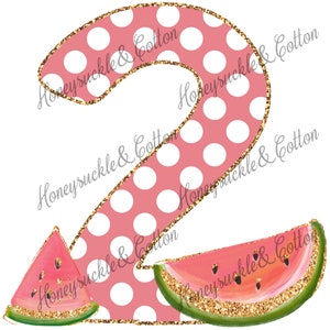 Watermelon 2nd Birthday, Summer Birthday PNG, Melon