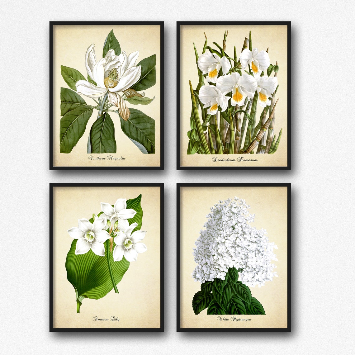 Set of 4 Botanical Prints White Flowers Botanical Print Set | Etsy