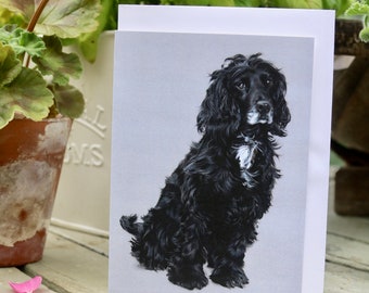 Evie - A6 Blank greetings cards of a spaniel drawn by Imogen Man