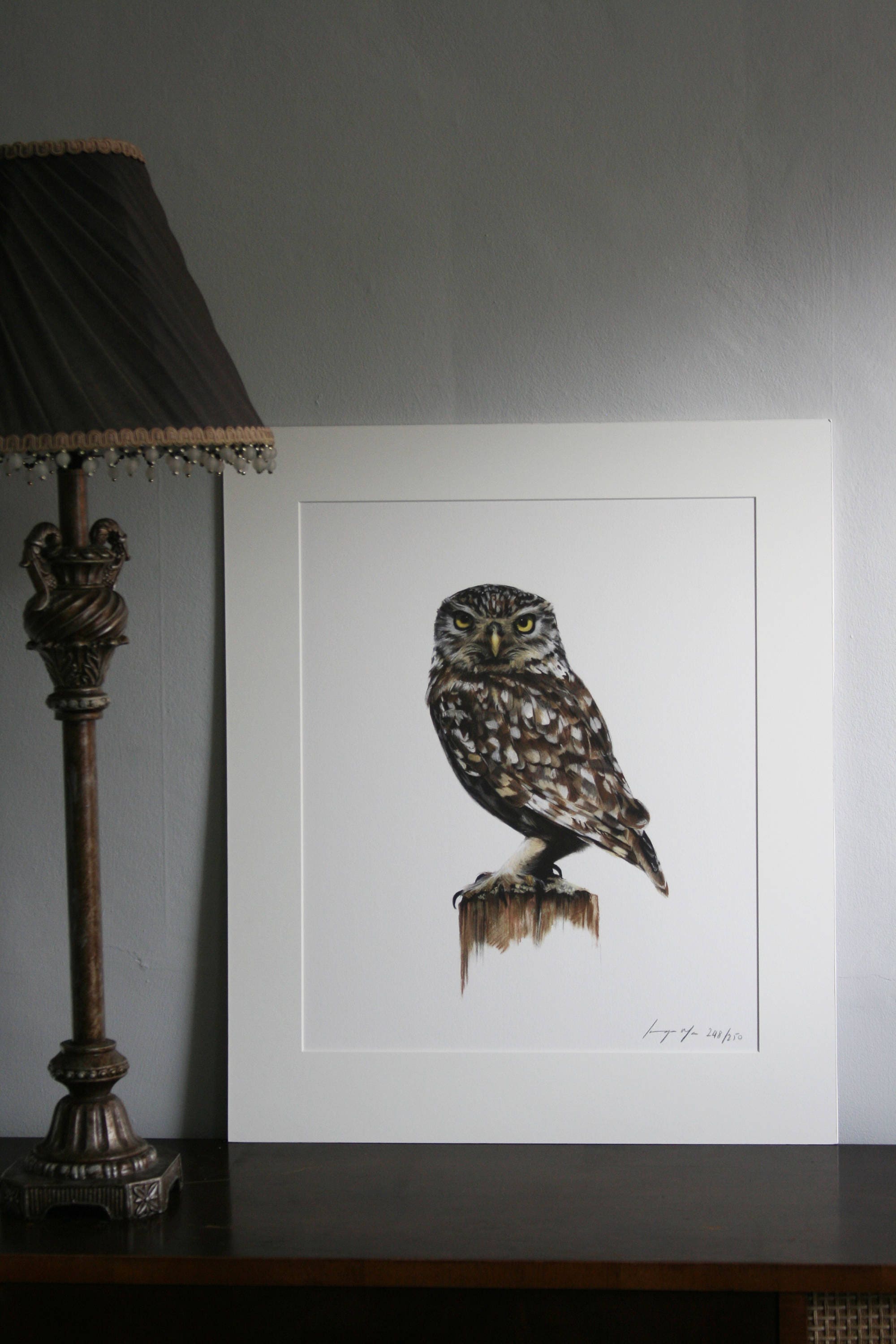 Archimedes - Limited edition giclee print of an owl from original pastel drawing by Imogen Man