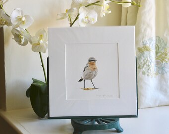 Wheatear - Limited edition giclee print from original pastel drawing by Imogen Man