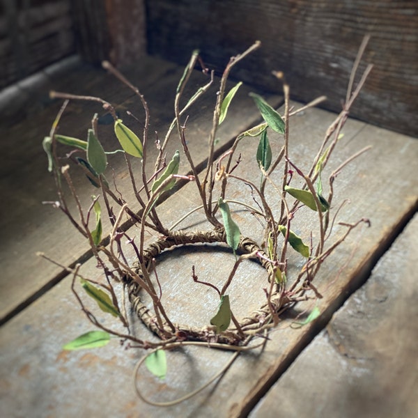 Crown Spring Twig Branch Woodland Queen Witch Wedding Natural Rustic Cosplay Costume Narnia Party Princess Festival