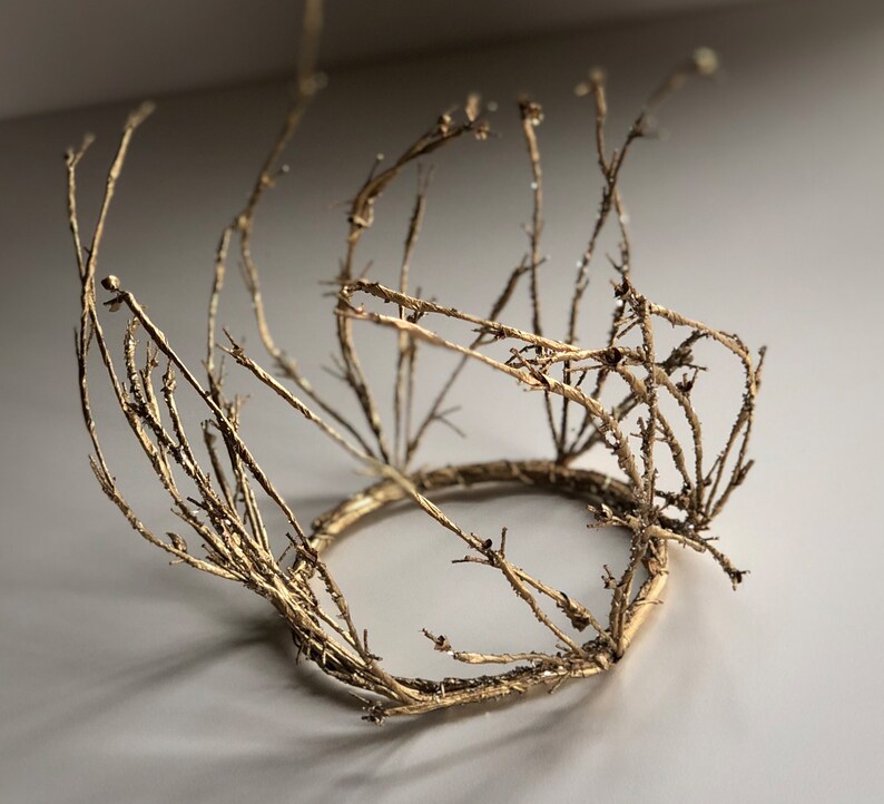Crown Gold Crown Twig Crown Branch Crown Woodland Crown Etsy