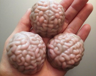 Set of Three Realistic Anatomy Brain Soaps in Buttercreme and Snickerdoodle fragrance by Lavish Handcrafted