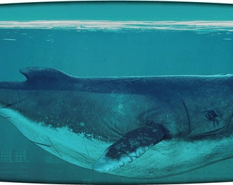 Custom Surfboard Wall Art: Epoxy Finish, Whale Theme (5ft)