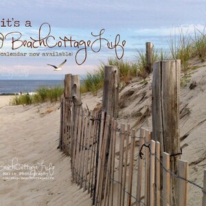 3 Purple Beach Umbrellas Seaside Fenced Dune Path in End of Summer Golden Light Beach House Wall Art Photography image 2