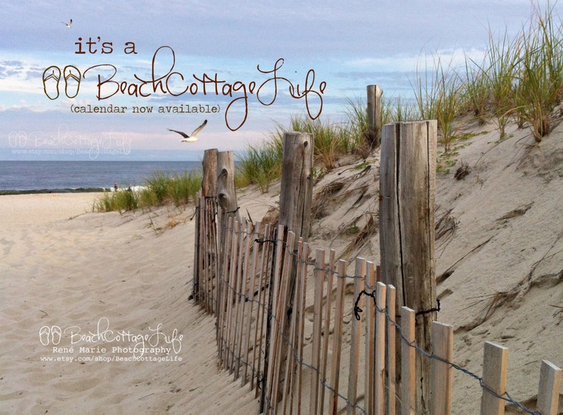 3 Purple Beach Umbrellas Seaside Fenced Dune Path in End of Summer Golden Light Beach House Wall Art Photography image 2