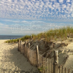3 Purple Beach Umbrellas Seaside Fenced Dune Path in End of Summer Golden Light Beach House Wall Art Photography image 1