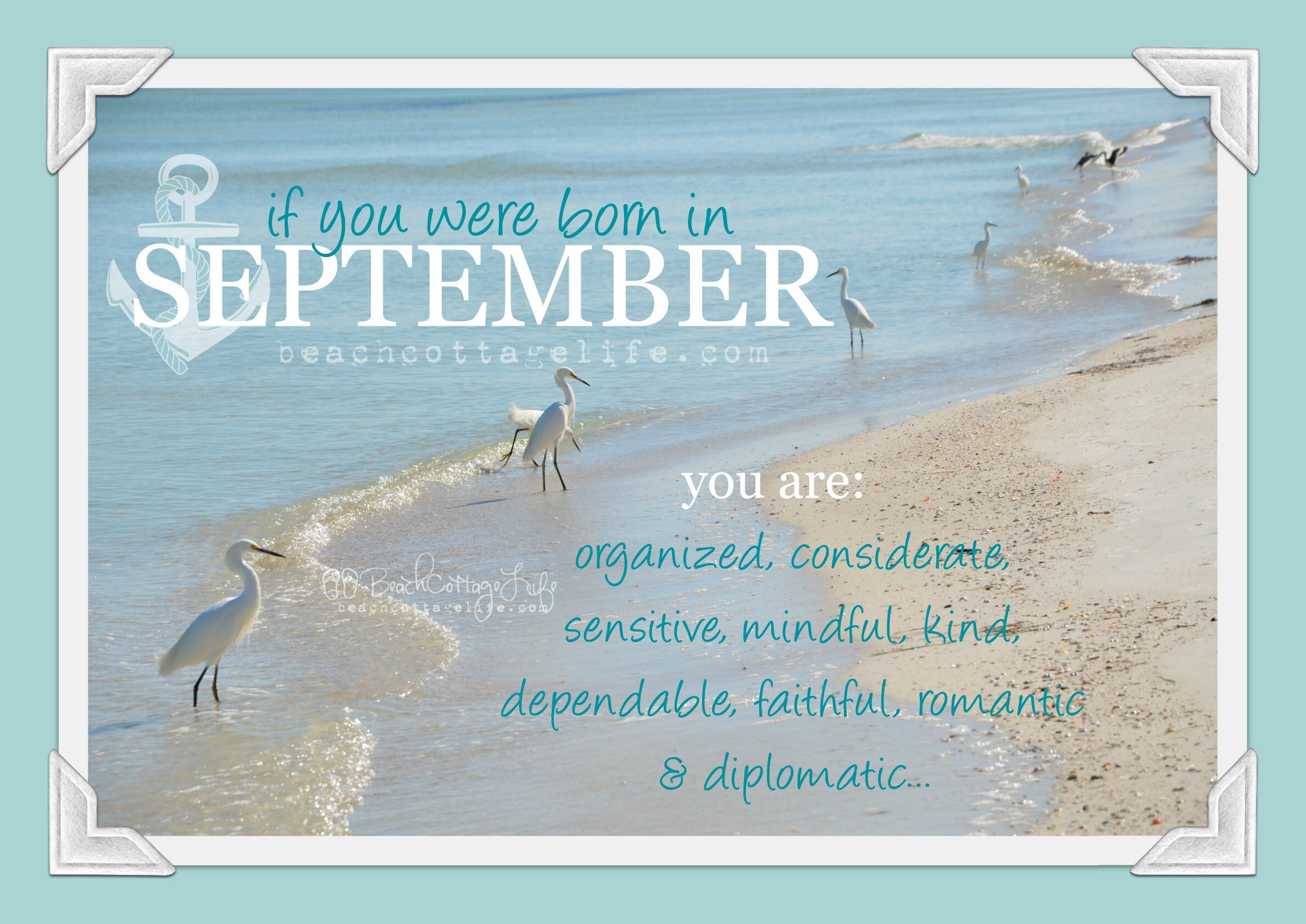 Birthday Birth Month January February March April May June July August ...