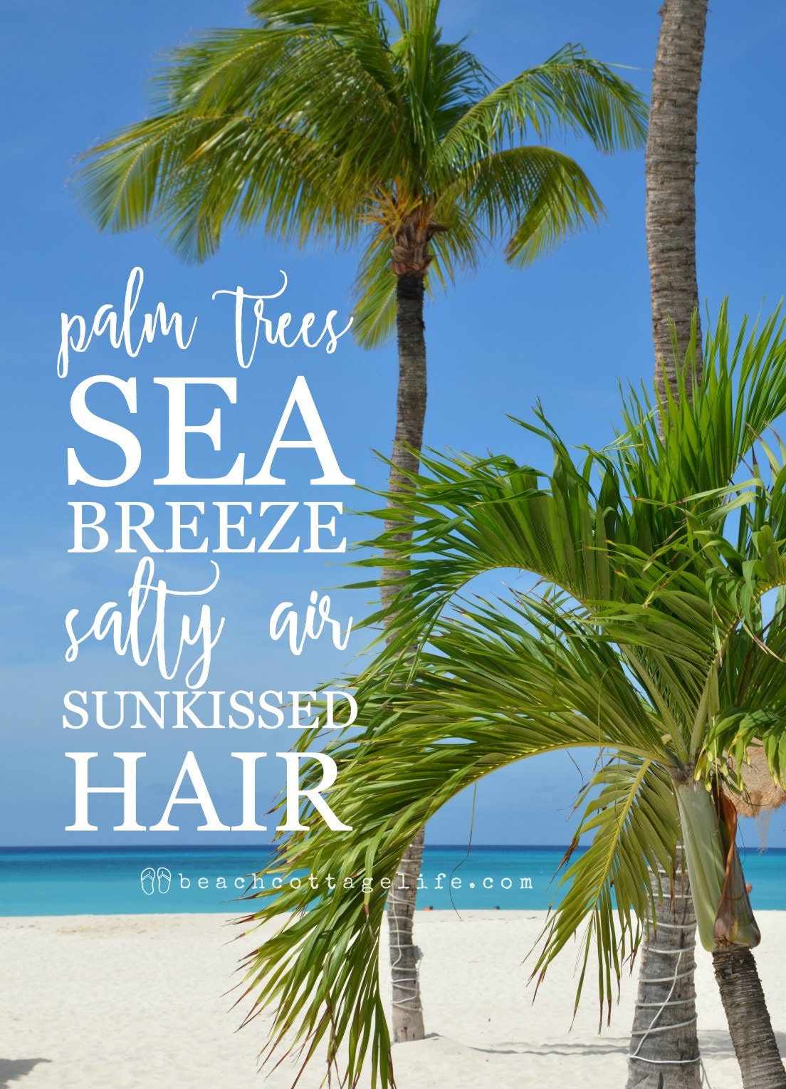BEACH Photography Palm Trees Sea Breeze Salty Air Carribean - Etsy BEACH Photography Palm Trees Sea Breeze Salty Air Carribean - Etsy