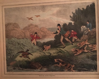 Duck hawking etching 1799