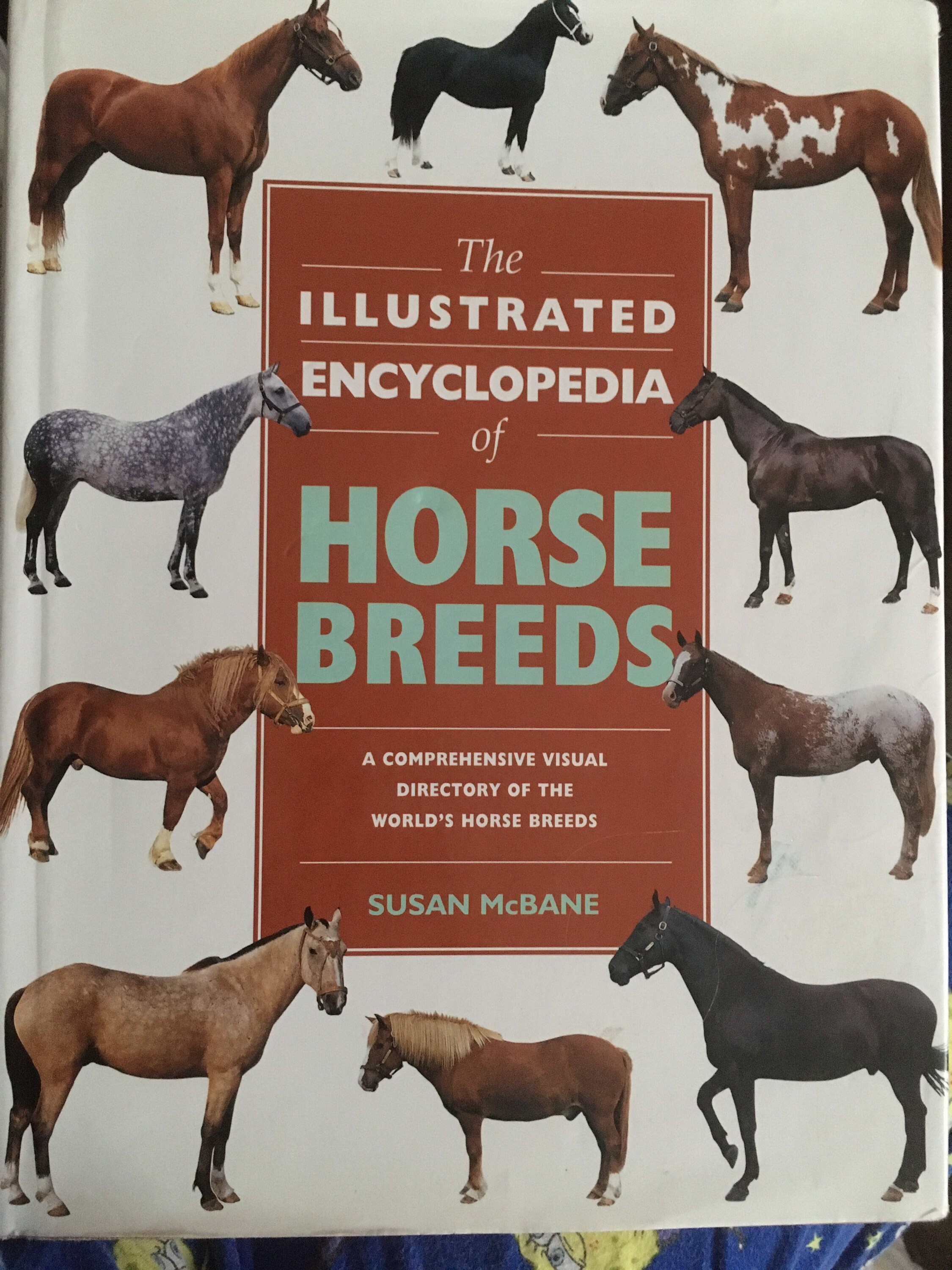 The illustrated encyclopedia of horse breeds Etsy