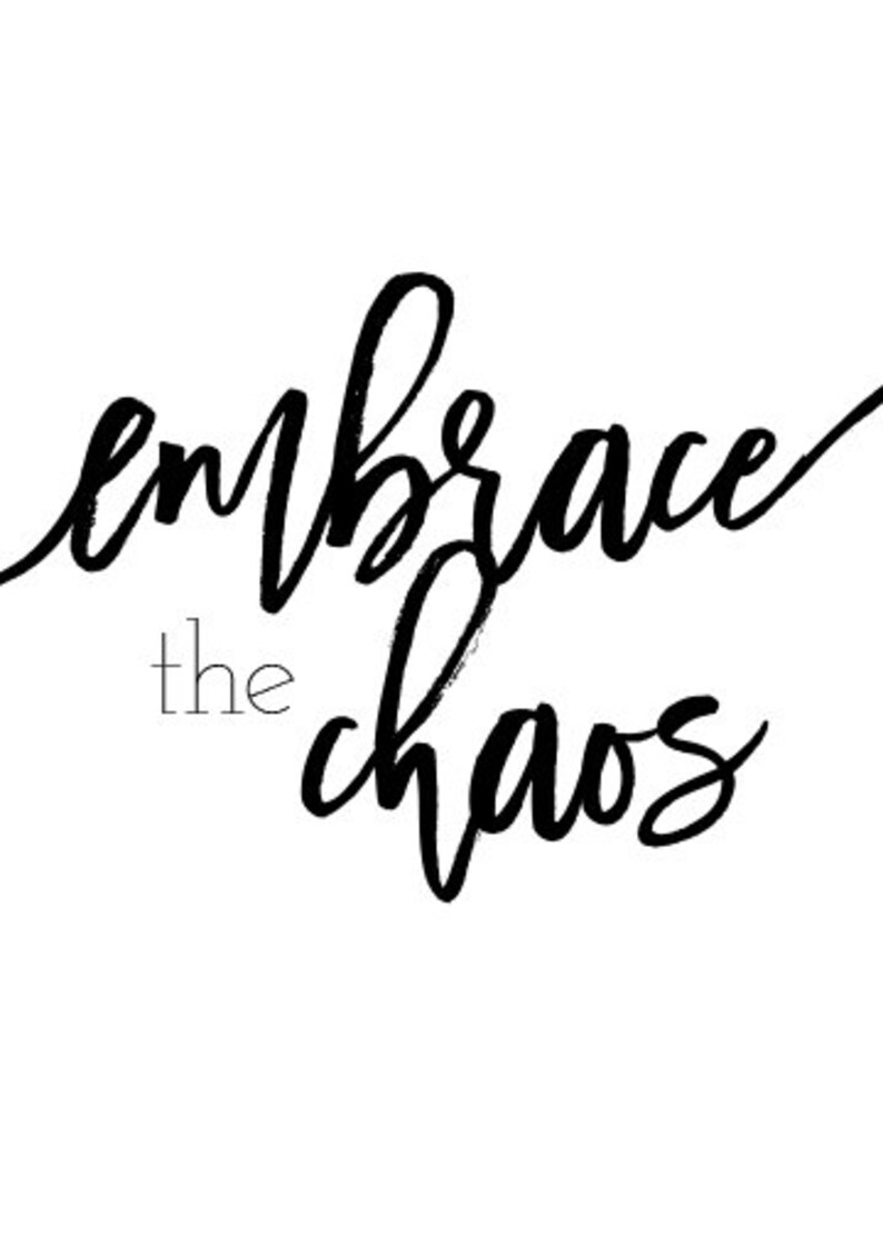 embrace the chaos embrace the chaos