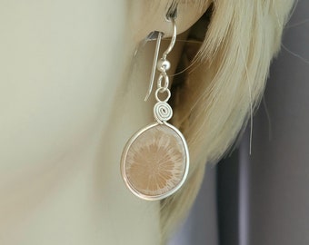 Fossil Earrings, Natural Polished Fossil, Coral Fossil, Natural Petoskey Stone Fossil Earrings, Handmade Sterling Silver Artist Earring