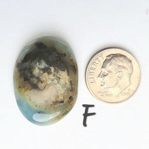 May include: A light blue, brown, and white oval cabochon gemstone with a dark gray pattern. The gemstone is about the size of a US dime.