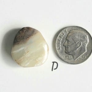 May include: A white and brown oval-shaped stone with a smooth surface. The stone is about the size of a US dime.