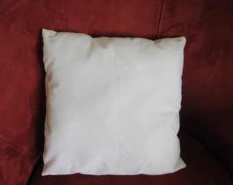 Cushion form, pillow form