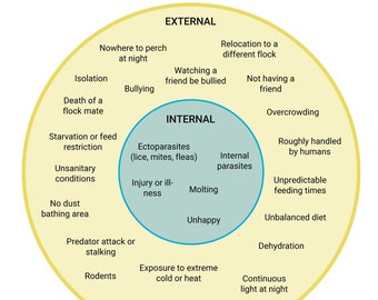 Tableau des sources de stress pour les poulets