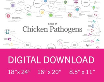 Chart of Chicken Pathogens (Digital Downloadable Files) - Veterinary wall art - Chicken art print - Chicken lover gift - Coop decor