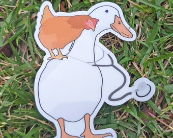 Duck Chicken Sticker - Veterinarian gift - Duck lovers - Duck artwork