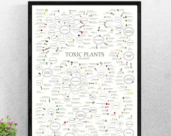 Chart of Toxic Plants Horses - Barn wall decor - equine education - horse owner gift - horse health chart - horse infographic