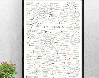 Tableau des plantes toxiques pour les chevaux – Santé équine, décoration murale de grange