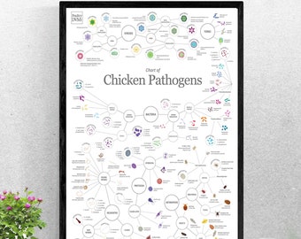 Chicken Pathogens Poster - Microbiology art - Veterinarian gift - Veterinary wall art - Chicken art print - Chicken lover gift - Coop decor