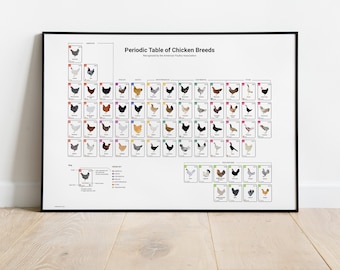 Tableau périodique des races de poulets, impression d'art - Infographie sur la volaille (téléchargement numérique)