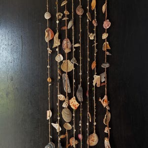 May include: A wall hanging featuring a horizontal piece of light brown driftwood at the top, from which multiple strands of twine are suspended. Various seashells in shades of white, tan, brown, and pink are attached to the twine with small beads.