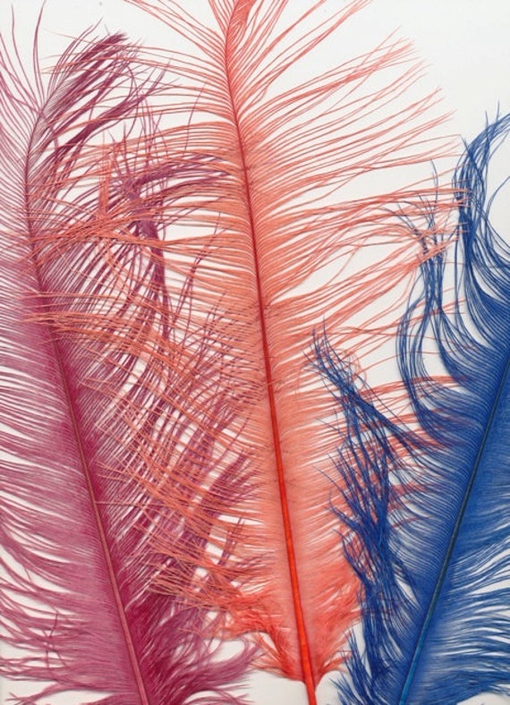 Large Spey Fly Materials