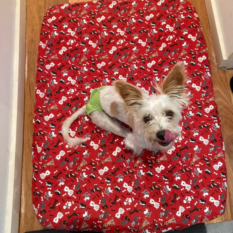 WATERPROOF REUSABLE PET Pee Pads Large Size, Dogs , Small Animals Etsy