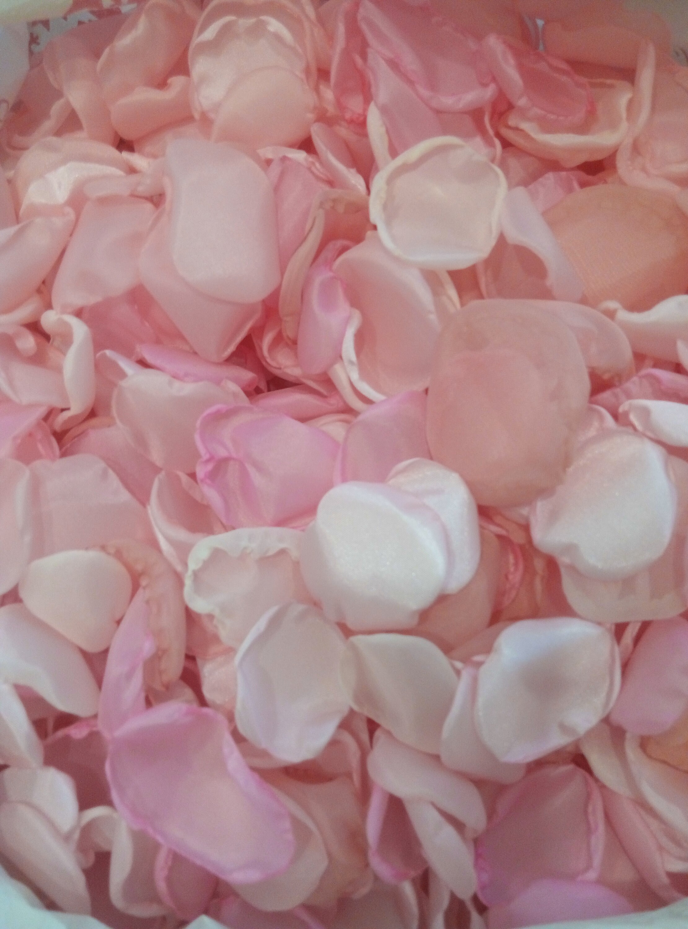 Blush petals rose wedding petals pink petals wedding singed Etsy