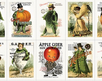 Pumpkin Patch  PD14572- Seedy Characters Panel   24" X 43"  J. Wecker Frisch  Riley Blake Designs ***In Stock - Shipping Now****