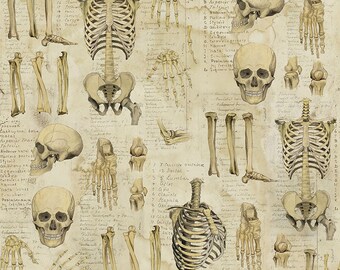 Anatomy  Canvas - Laboratory by Tim Holtz for FreeSpirit Fabrics - CCPWTH181.NEUTRAL