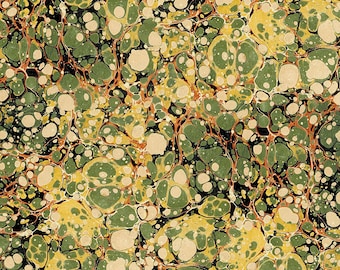 Experiment - Cut Continuous - Laboratory by Tim Holtz for FreeSpirit Fabrics - PWTH187.GREEN