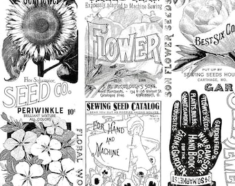 Sewing Seeds III  C15690-White    J. Wecker Frisch  Riley Blake Designs ***In Stock - Shipping Now****