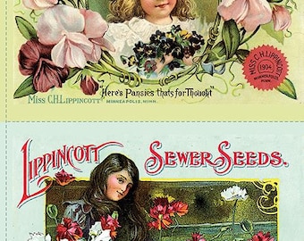 In Stock****. Sewing Seeds Pillow  Panel by J. Wecker Frisch for Riley Blake 24" x 43"