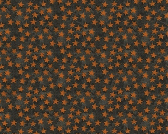 Riley Blake Halloween Whimsy Stars  by Teresa Kogut  C11824  Black  OOP