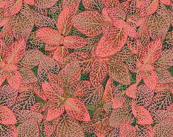 NEW Kaffe  August 2024. Fittonia- PWPJ129.RED