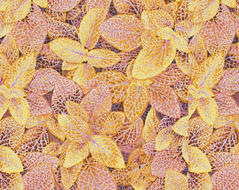 Kaffe  August 2024. Fittonia  Philip Jacobs - PWPJ129.GOLD