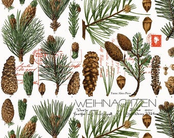 Pine Cones   Classic Christmas  by J. Wecker Frisch  for  Riley Blake Designs **Just In ****