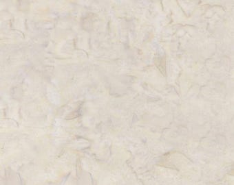 Expressions Batiks Hand Dye CLOUD  by RIley Blake  BT21000-113