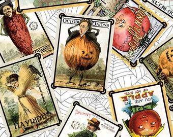 Pumpkin Patch  C14579-White Seed Packs Toss  J. Wecker Frisch  Riley Blake Designs ***In Stock - Shipping Now****