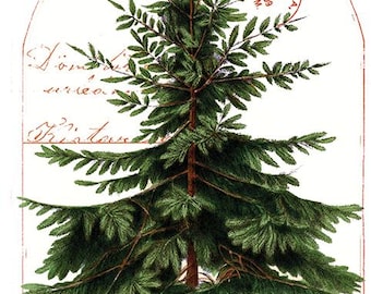 In Stock***Classic Christmas TREE  Panel by J. Wecker Frisch for Riley Blake  24" x 43"